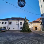 Photo taken by Jocelyn C