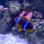 Photo taken by Julie H