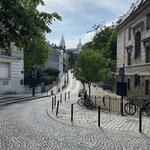 Photo taken by Judy B