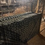 Photo taken by Melody B