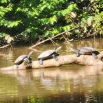 Photo taken by Lee B