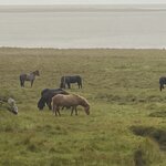 Photo taken by Carmen W