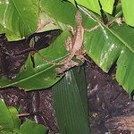 Photo taken by Tenley G