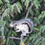 Photo taken by Graeme W