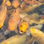 Photo taken by Mark C