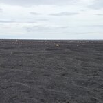 Photo taken by Scott C