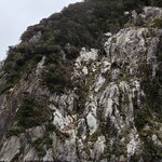 Photo taken by Iris W