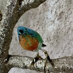 Photo taken by Deborah C