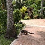 Photo taken by Juliette S