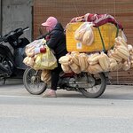 Photo taken by Anil C