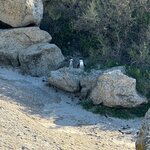 Photo taken by Chris K