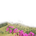 Photo taken by Brett F