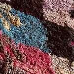 Photo taken by Rajarshi M