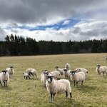 Photo taken by Kim G