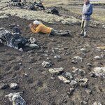 Photo taken by Nan K