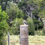 Photo taken by Amy Z