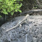 Photo taken by Norma G