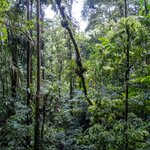 Photo taken by Jeffrey B