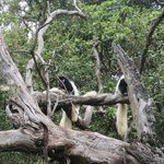 Photo taken by Kristin M