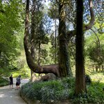 Photo taken by Bobbie X