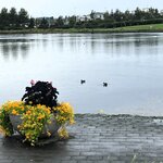 Photo taken by Mike D