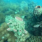 Photo taken by Susan & Bob M