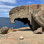 Photo taken by Rosemary S