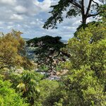 Photo taken by Mike T