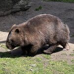 Photo taken by Rosemary S