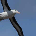 Photo taken by Eric T