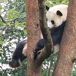 Photo taken by marianne d