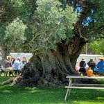 Photo taken by Mike T