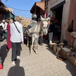 Photo taken by Beverly R