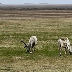 Photo taken by Tom B