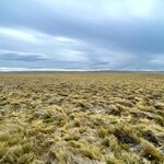 Photo taken by Caner K