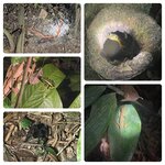 Photo taken by Kelly K