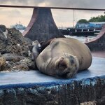 Photo taken by Lisa T