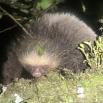 Photo taken by Marc A