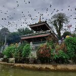 Photo taken by Pania S