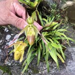 Photo taken by Anna L