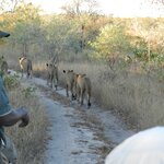 Photo taken by Linette B