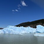 Photo taken by Manon G