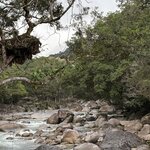 Photo taken by Gina L