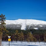 Photo taken by Bianca C