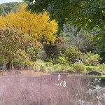 Photo taken by Annie A