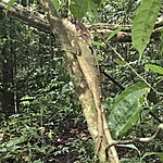 Photo taken by Michelle D