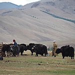 Photo taken by Kathleen L