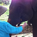 Up close and personal. | Photo taken by Rodney S