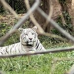 Photo taken by Michael L