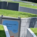 Photo taken by PADMABEN P